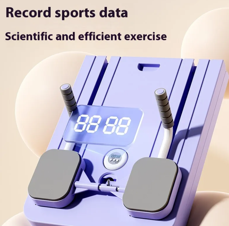 Ab Wheel Fitness Board